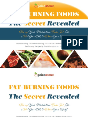 Fat Burning Food PDF